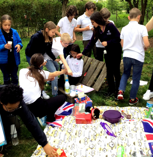 Anglais Coronation picnic 18