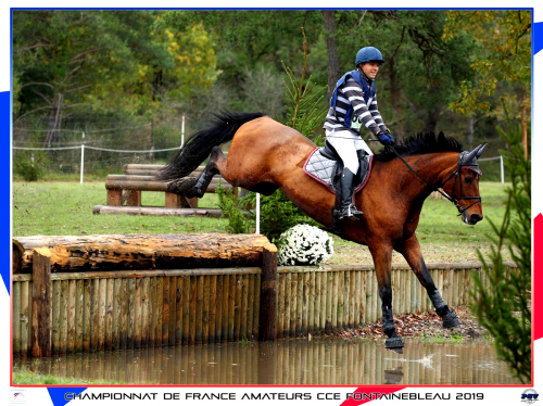 Equitation Daniel Loos (2)